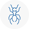 Ant Removals In Alexandra Palace