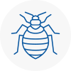 Bed Bug Extermination In Alexandra Palace