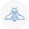 Bee Nest Removal Alexandra Palace
