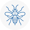 Alexandra Palace Hornet Nest Removals