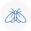 Moth Control Specialists In Alexandra Palace