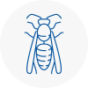 Alexandra Palace Wasp Nest Removal